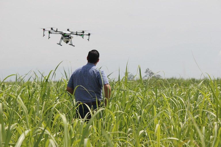 Agricultura con drones en Catalunya